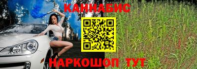 mix Камышлов